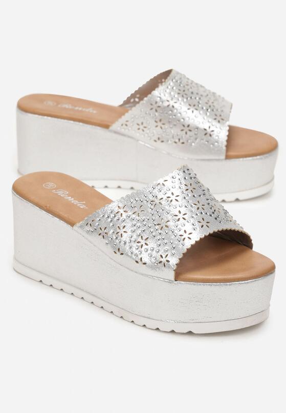 Срібні Сабо 4