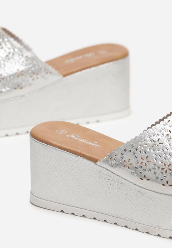 Срібні Сабо 5