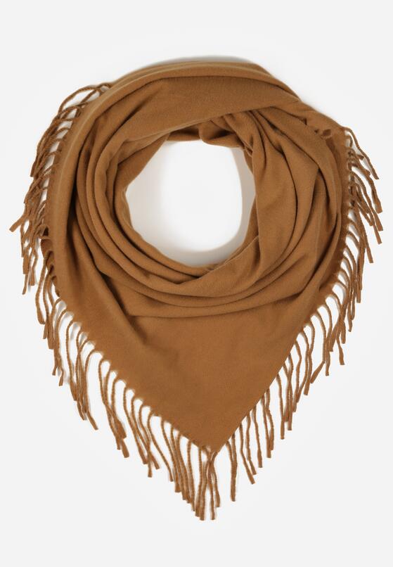 Коричневий Шарф 1