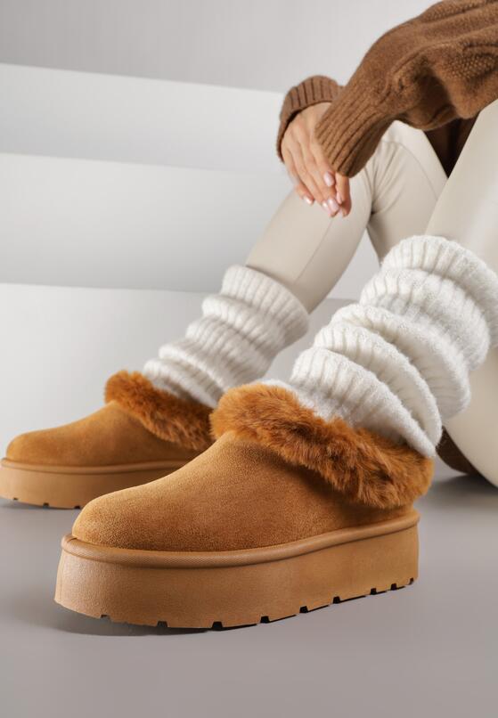 Коричневі Сноубутси 1