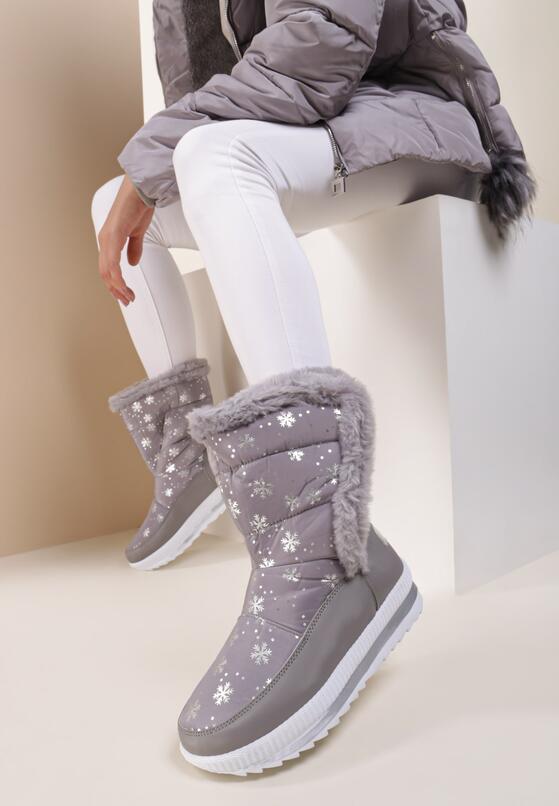 Сірі Сноубутси 2