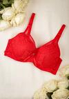 Червоний Бюстгальтер