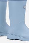 Блакитні Гумові Чоботи
