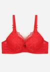Червоний Бюстгальтер