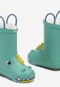 Зелені Гумові Чоботи