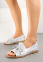 Срібні Сандалі