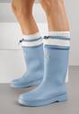 Блакитні Гумові Чоботи