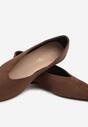 Коричневі Балетки
