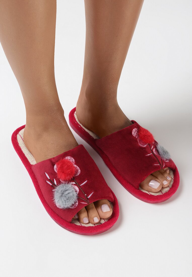 Червоні Тапки